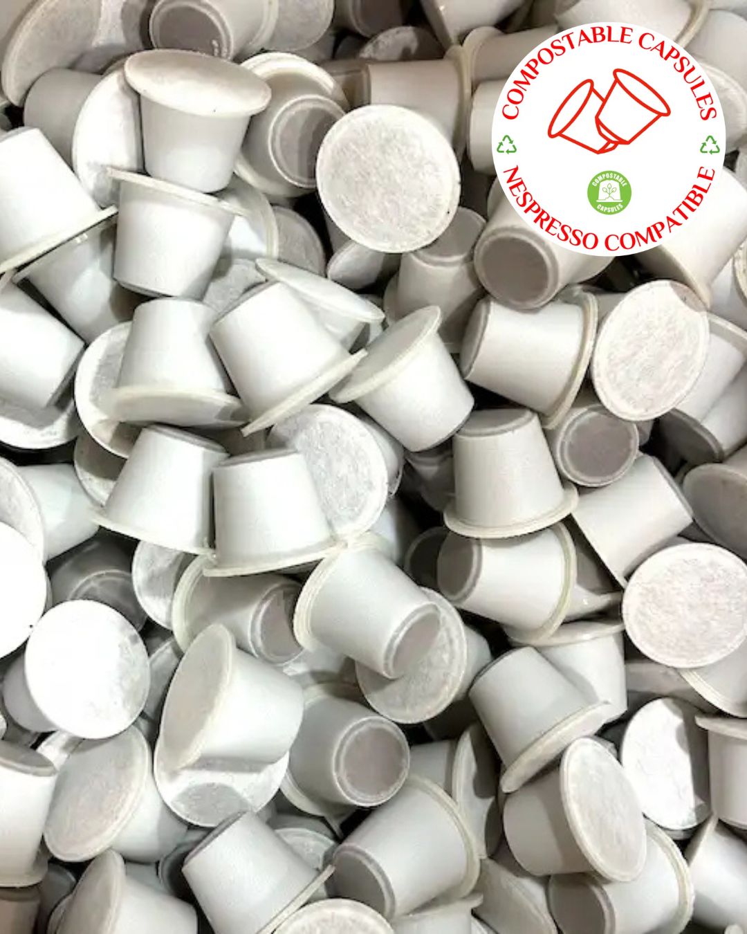 PHOTO 2025 11 22 17 15 03