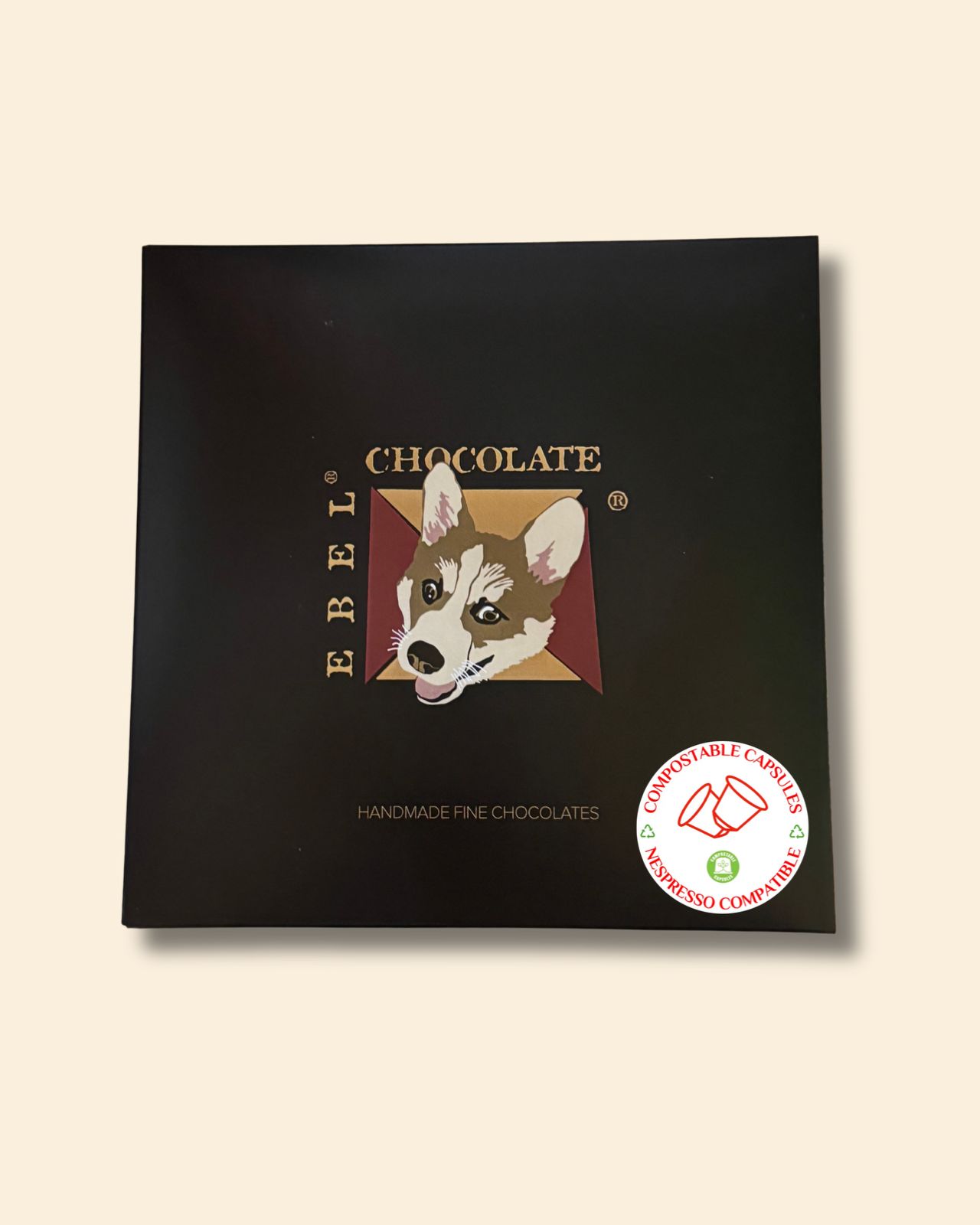 WhatsApp Image 2025 11 22 At 17.05.28 (2)