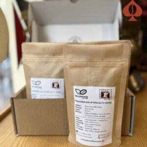 Auction Sample Set / green